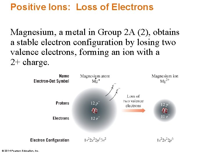 Positive Ions: Loss of Electrons Magnesium, a metal in Group 2 A (2), obtains