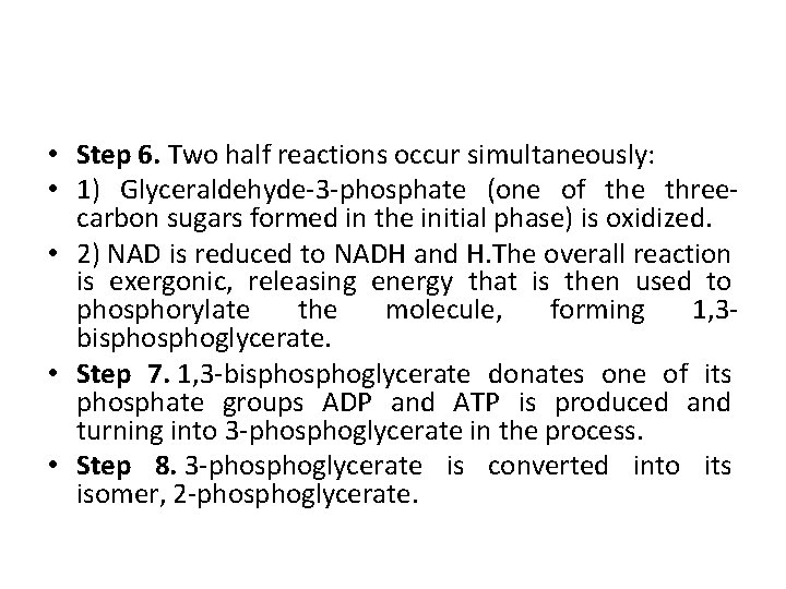  • Step 6. Two half reactions occur simultaneously: • 1) Glyceraldehyde-3 -phosphate (one