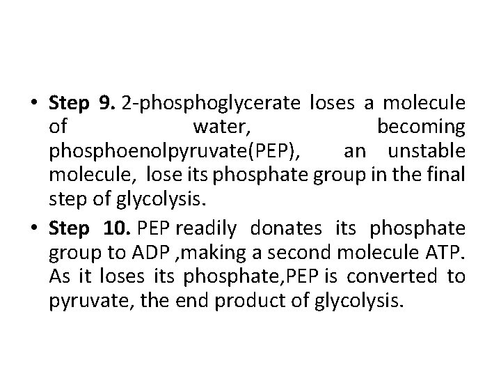  • Step 9. 2 -phosphoglycerate loses a molecule of water, becoming phosphoenolpyruvate(PEP), an