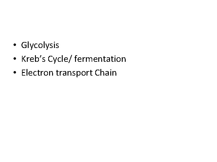  • Glycolysis • Kreb’s Cycle/ fermentation • Electron transport Chain 