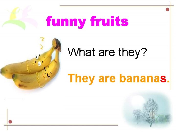 What are they? They are bananas. 