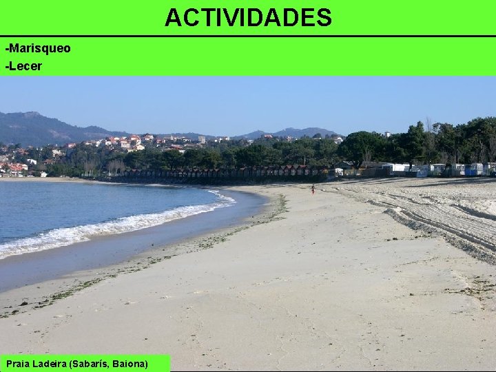 ACTIVIDADES -Marisqueo -Lecer Praia Ladeira (Sabarís, Baiona) 