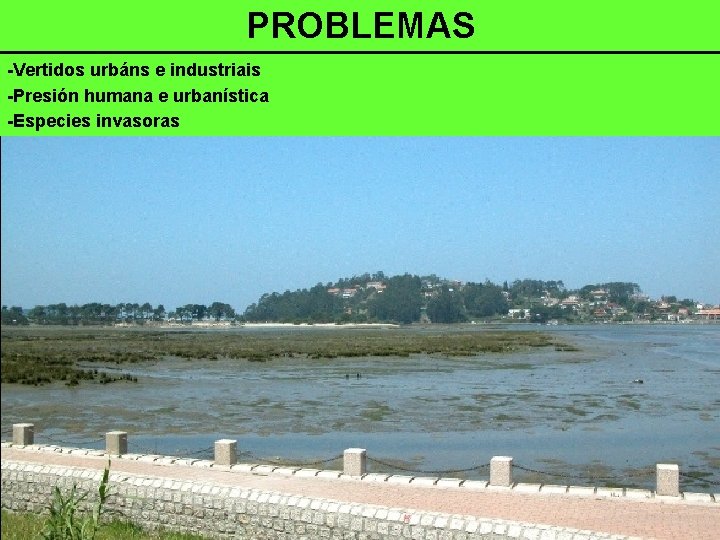 PROBLEMAS -Vertidos urbáns e industriais -Presión humana e urbanística -Especies invasoras 