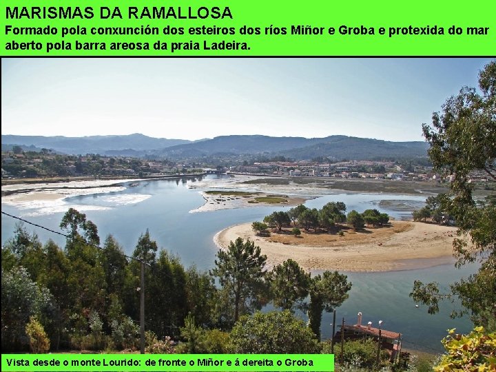 MARISMAS DA RAMALLOSA Formado pola conxunción dos esteiros dos ríos Miñor e Groba e