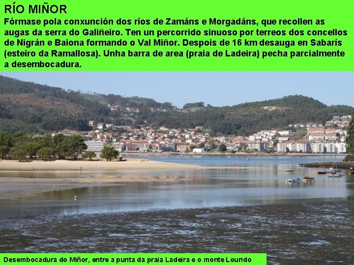 RÍO MIÑOR Fórmase pola conxunción dos ríos de Zamáns e Morgadáns, que recollen as