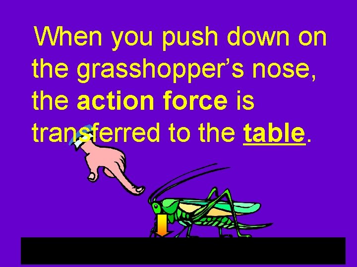 When you push down on the grasshopper’s nose, the action force is transferred to