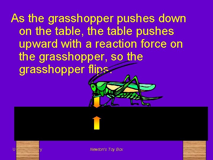 As the grasshopper pushes down on the table, the table pushes upward with a