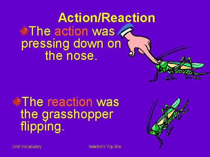Action/Reaction The action was pressing down on the nose. The reaction was the grasshopper