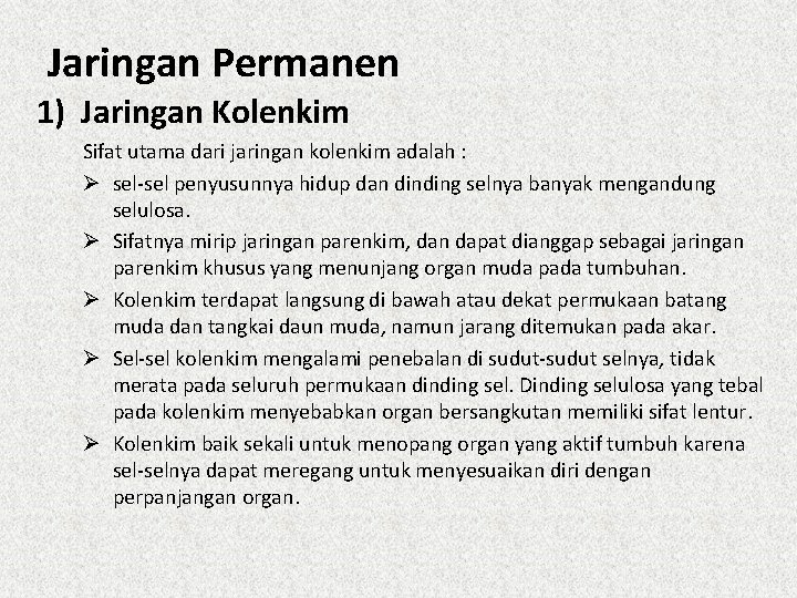 Jaringan Permanen 1) Jaringan Kolenkim Sifat utama dari jaringan kolenkim adalah : Ø sel-sel