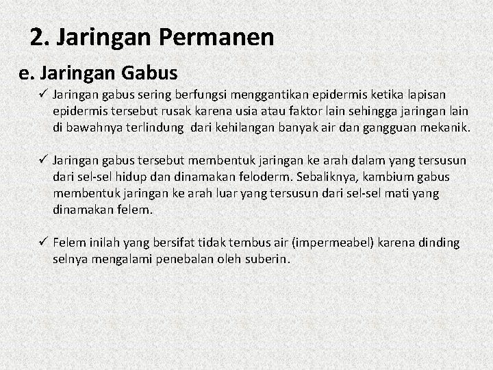 2. Jaringan Permanen e. Jaringan Gabus ü Jaringan gabus sering berfungsi menggantikan epidermis ketika