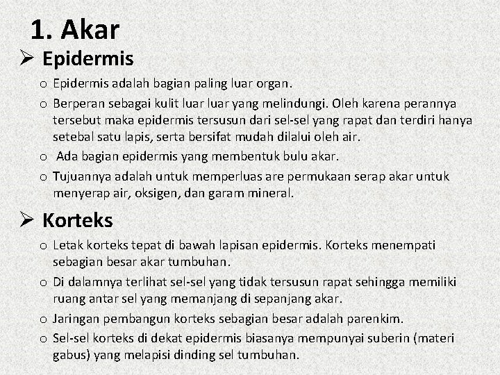 1. Akar Ø Epidermis o Epidermis adalah bagian paling luar organ. o Berperan sebagai