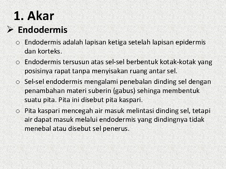 1. Akar Ø Endodermis o Endodermis adalah lapisan ketiga setelah lapisan epidermis dan korteks.