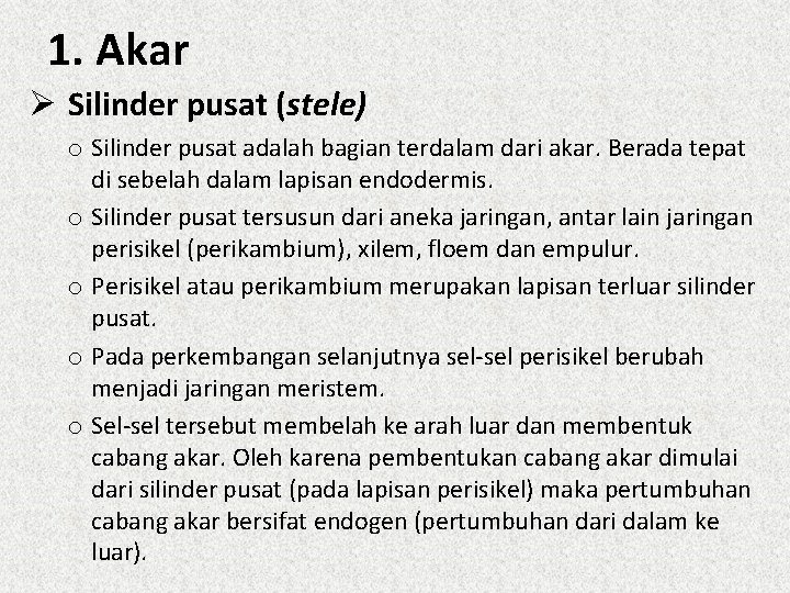 1. Akar Ø Silinder pusat (stele) o Silinder pusat adalah bagian terdalam dari akar.