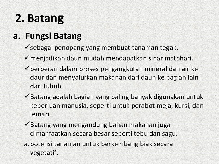 2. Batang a. Fungsi Batang ü sebagai penopang yang membuat tanaman tegak. ü menjadikan