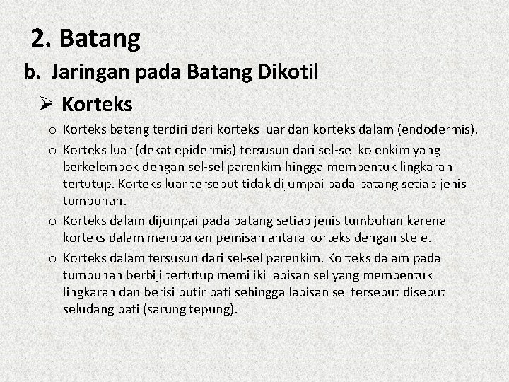 2. Batang b. Jaringan pada Batang Dikotil Ø Korteks o Korteks batang terdiri dari