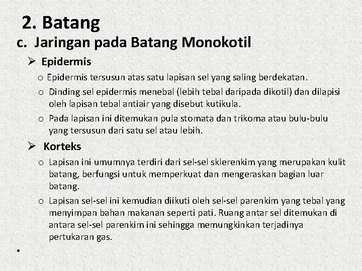 2. Batang c. Jaringan pada Batang Monokotil Ø Epidermis o Epidermis tersusun atas satu