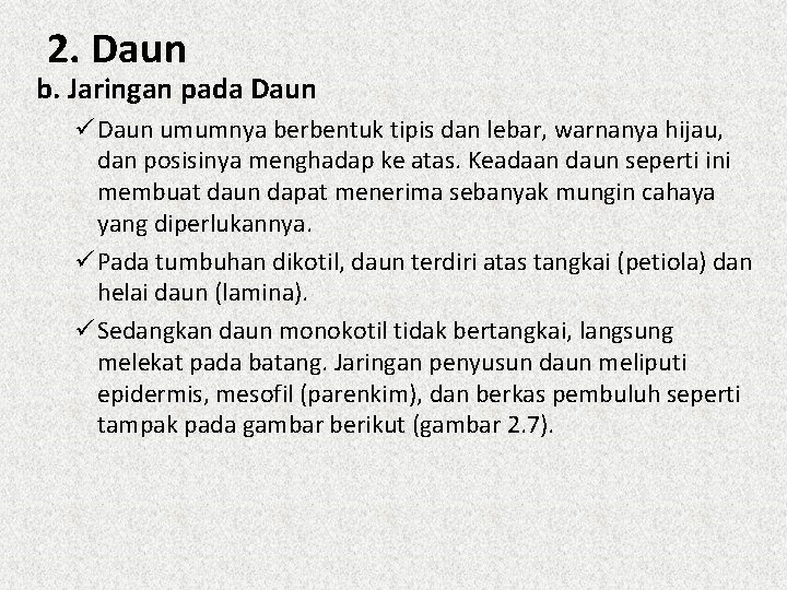 2. Daun b. Jaringan pada Daun ü Daun umumnya berbentuk tipis dan lebar, warnanya