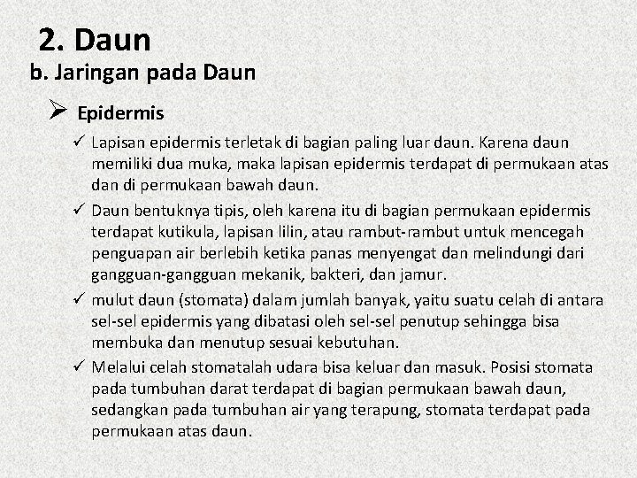 2. Daun b. Jaringan pada Daun Ø Epidermis ü Lapisan epidermis terletak di bagian