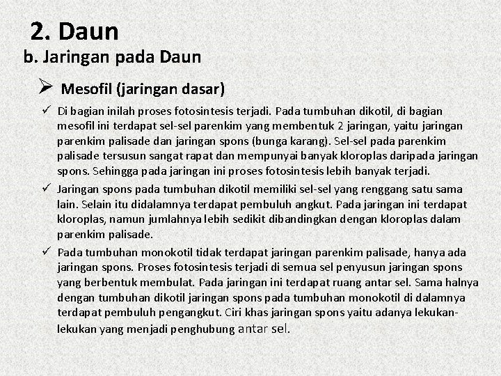 2. Daun b. Jaringan pada Daun Ø Mesofil (jaringan dasar) ü Di bagian inilah