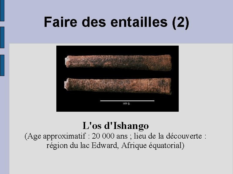 Faire des entailles (2) L'os d'Ishango (Age approximatif : 20 000 ans ; lieu