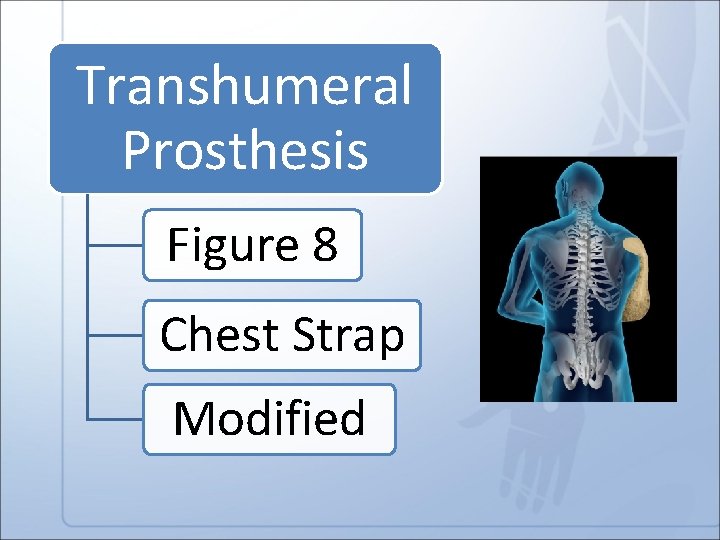 Transhumeral Prosthesis Figure 8 Chest Strap Modified 