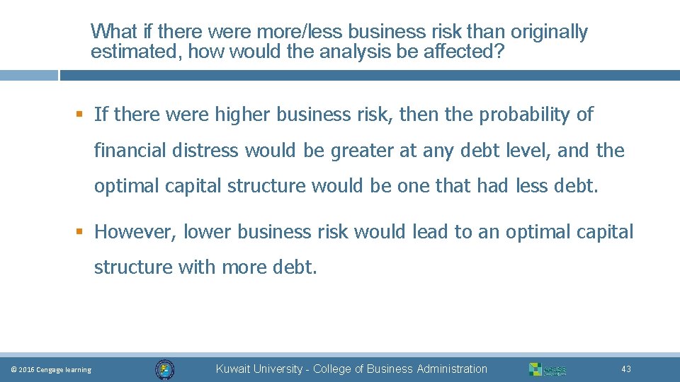 What if there were more/less business risk than originally estimated, how would the analysis