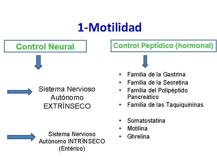 1 -Motilidad Control Neural Sistema Nervioso Autónomo EXTRÍNSECO Sistema Nervioso Autónomo INTRÍNSECO (Entérico) Control