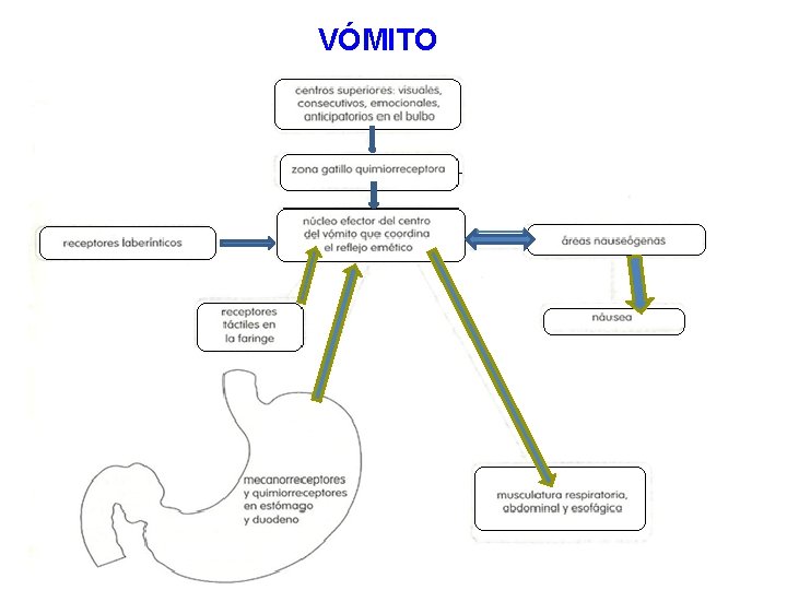 VÓMITO 