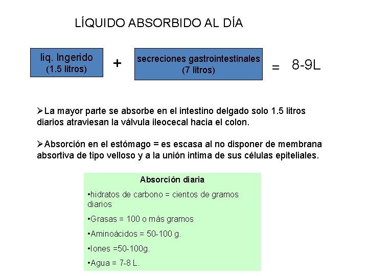 LÍQUIDO ABSORBIDO AL DÍA liq. Ingerido (1. 5 litros) + secreciones gastrointestinales (7 litros)
