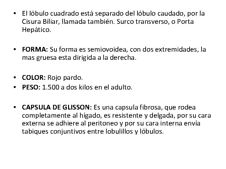  • El lóbulo cuadrado está separado del lóbulo caudado, por la Cisura Biliar,