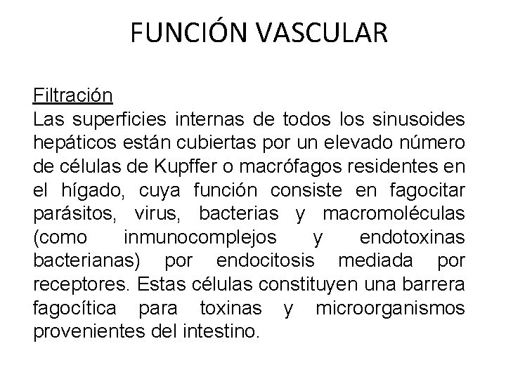 FUNCIÓN VASCULAR Filtración Las superficies internas de todos los sinusoides hepáticos están cubiertas por