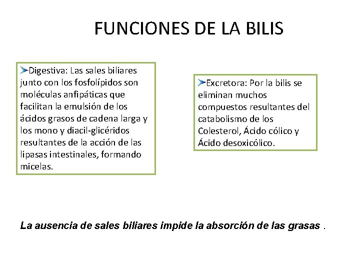 FUNCIONES DE LA BILIS Digestiva: Las sales biliares junto con los fosfolípidos son moléculas