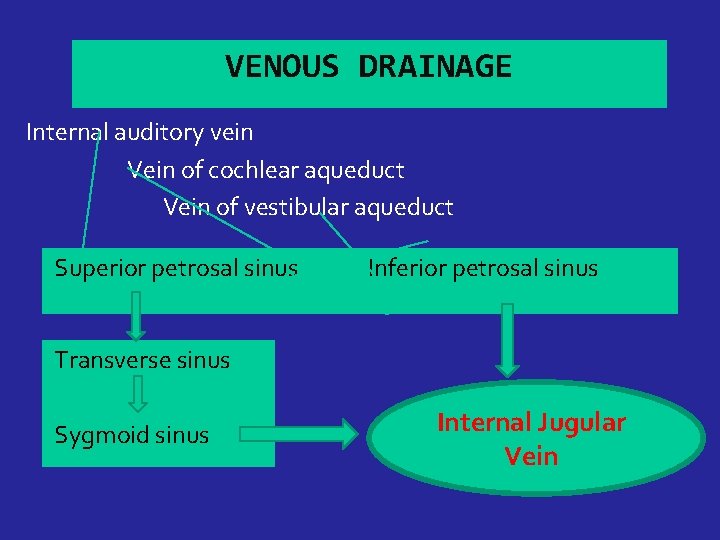 VENOUS DRAINAGE Internal auditory vein Vein of cochlear aqueduct Vein of vestibular aqueduct Superior