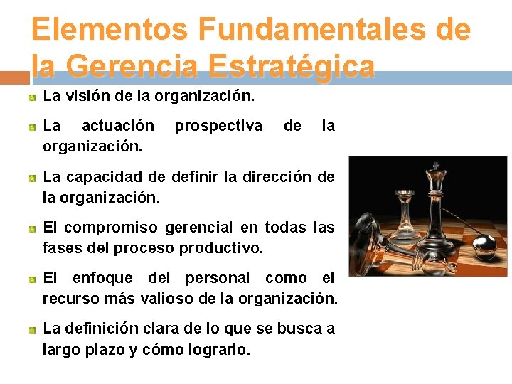 Elementos Fundamentales de la Gerencia Estratégica La visión de la organización. La actuación organización.