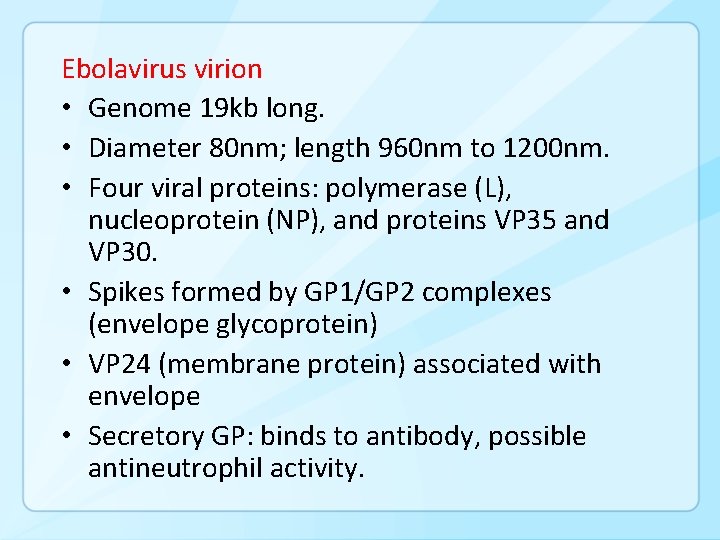 Ebolavirus virion • Genome 19 kb long. • Diameter 80 nm; length 960 nm