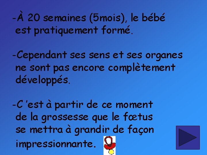 -À 20 semaines (5 mois), le bébé est pratiquement formé. -Cependant ses sens et