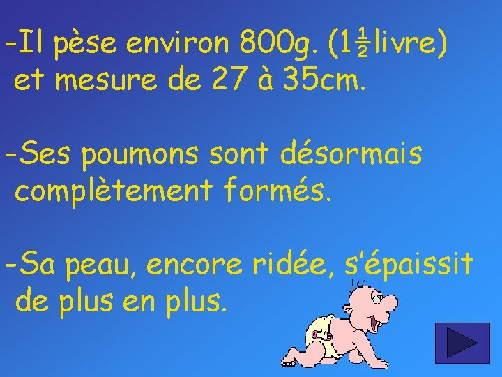 -Il pèse environ 800 g. (1½livre) et mesure de 27 à 35 cm. -Ses