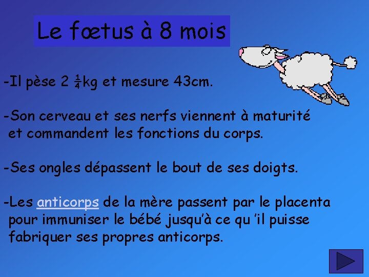 Le fœtus à 8 mois -Il pèse 2 ¼kg et mesure 43 cm. -Son