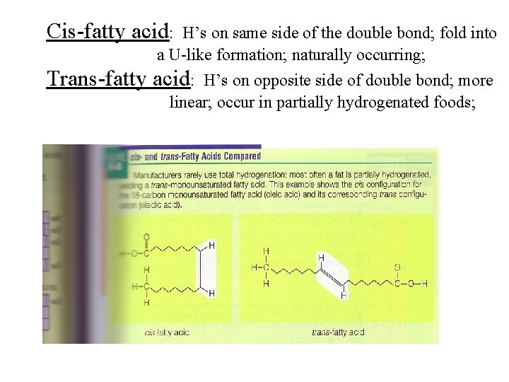 Cis-fatty acid: H’s on same side of the double bond; fold into a U-like