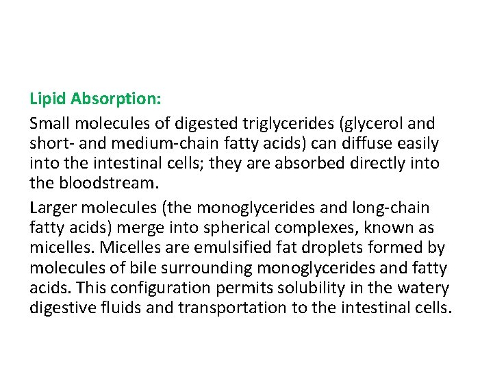 Lipid Absorption: Small molecules of digested triglycerides (glycerol and short- and medium-chain fatty acids)