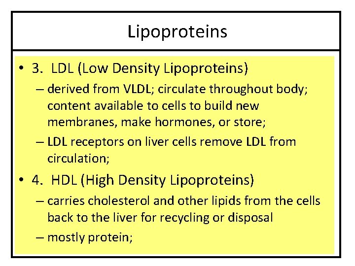 Lipoproteins • 3. LDL (Low Density Lipoproteins) – derived from VLDL; circulate throughout body;