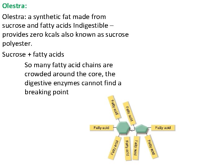 Olestra: a synthetic fat made from sucrose and fatty acids Indigestible – provides zero