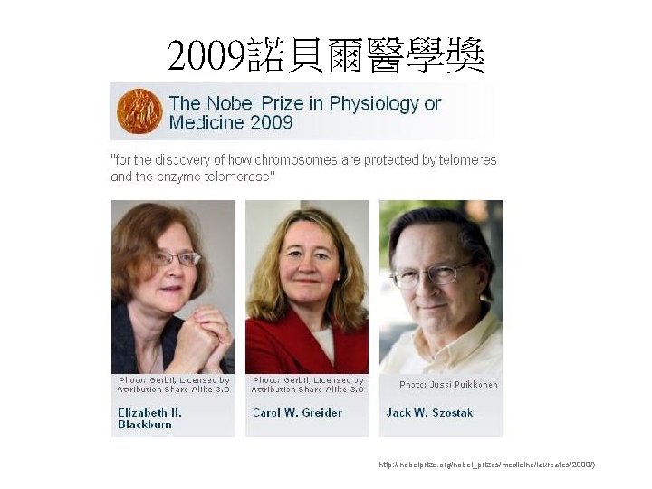 2009諾貝爾醫學獎 http: //nobelprize. org/nobel_prizes/medicine/laureates/2009/) 