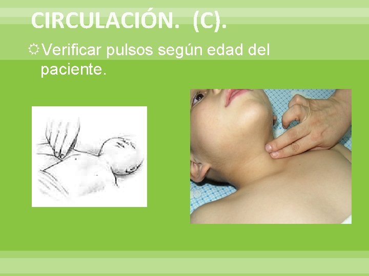 CIRCULACIÓN. (C). Verificar pulsos según edad del paciente. 