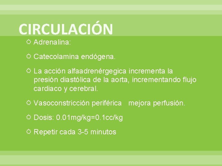 CIRCULACIÓN Adrenalina: Catecolamina endógena. La acción alfaadrenérgegica incrementa la presión diastólica de la aorta,