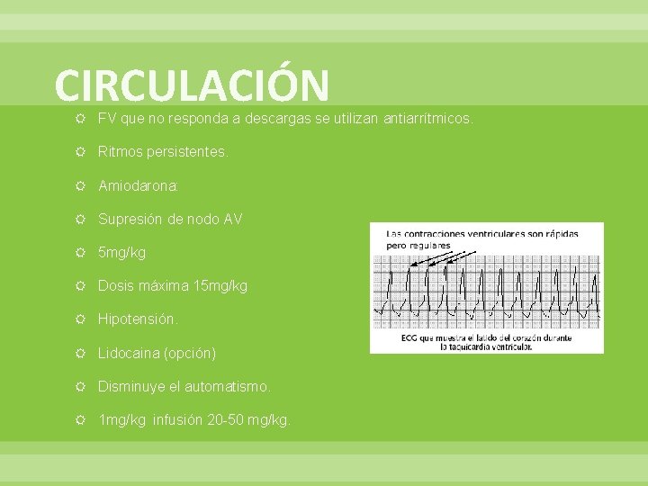 CIRCULACIÓN FV que no responda a descargas se utilizan antiarrítmicos. Ritmos persistentes. Amiodarona: Supresión