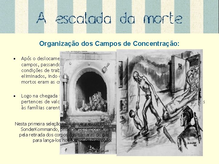 Organização dos Campos de Concentração: • Após o deslocamento por meio de trens as