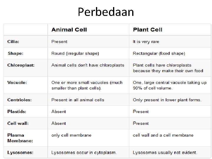 Perbedaan 