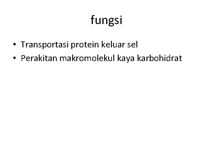 fungsi • Transportasi protein keluar sel • Perakitan makromolekul kaya karbohidrat 