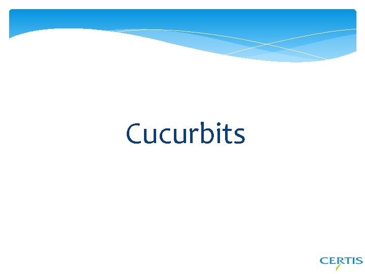 Cucurbits 